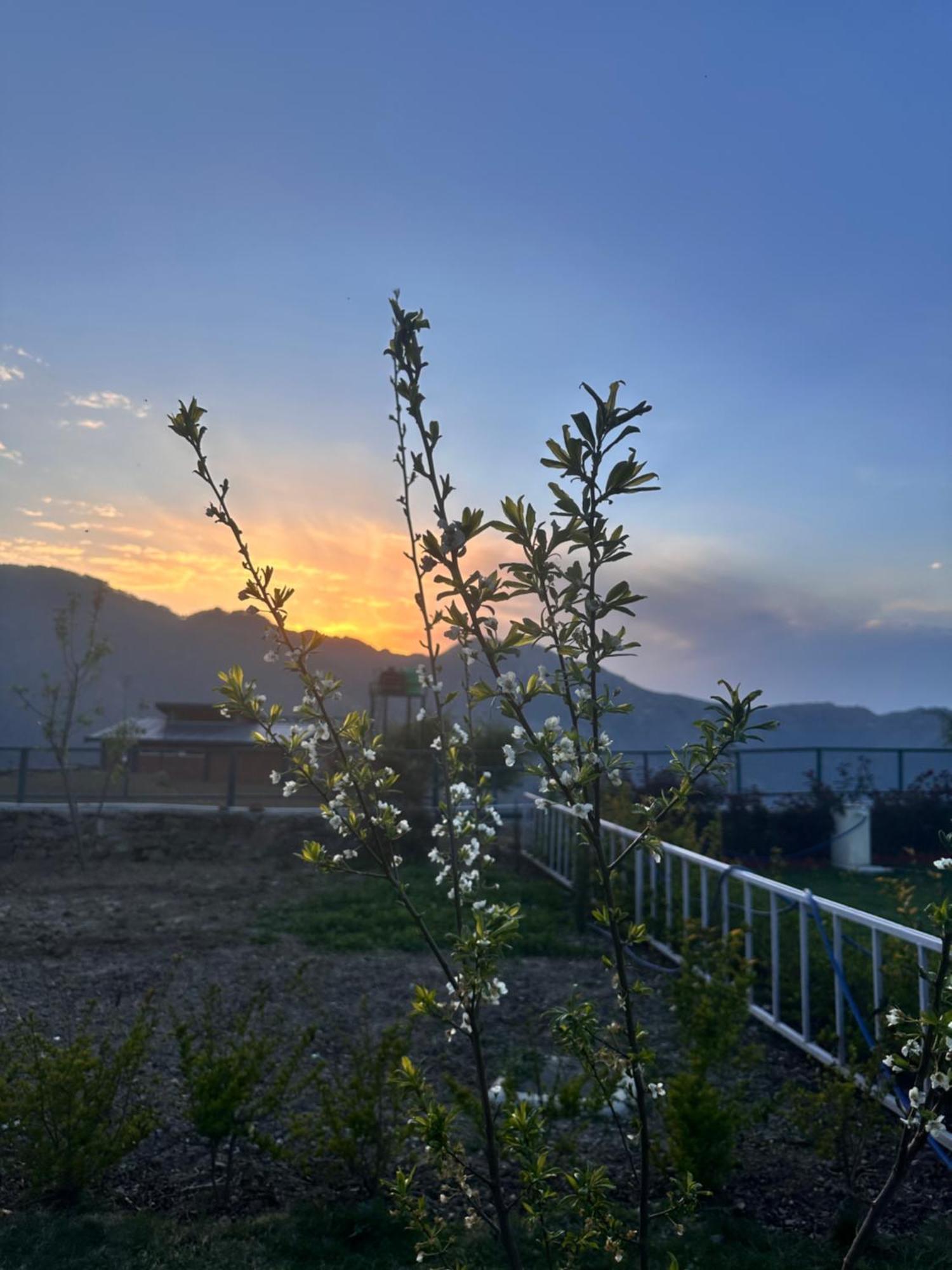Highfield Villa Канатал Екстер'єр фото